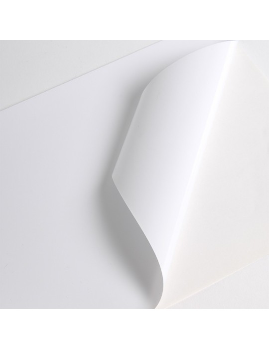 V3101WM - Blanc Mat adh enlevable incolore